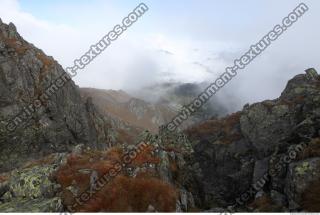 Photo Reference of Background Nature 0079